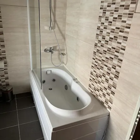 Pensiunea Yda Guest house