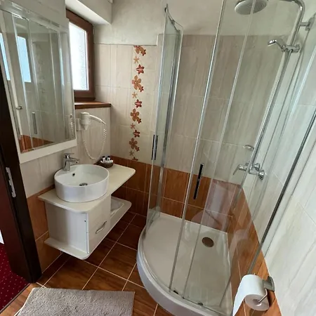 Pensiunea Yda Guest house *