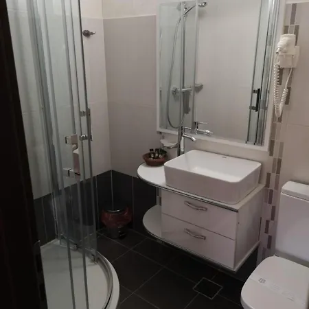 Pensiunea Yda Guest house