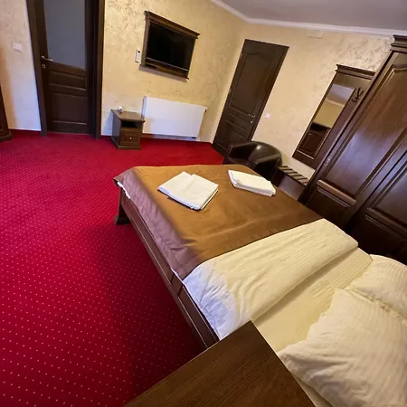 Pensiunea Yda Guest house *