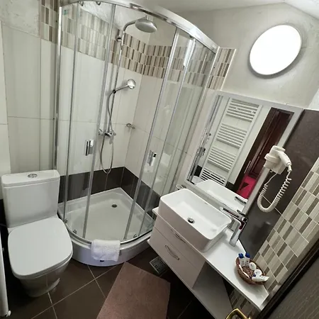Pensiunea Yda Guest house *