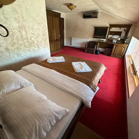 Guest house Pensiunea Yda *